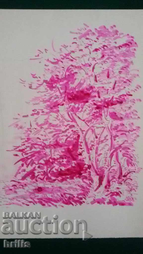 COLOR GRAPHICS - VITOSHA, BG AUTHOR with price 17.00 BGN | € 8.69