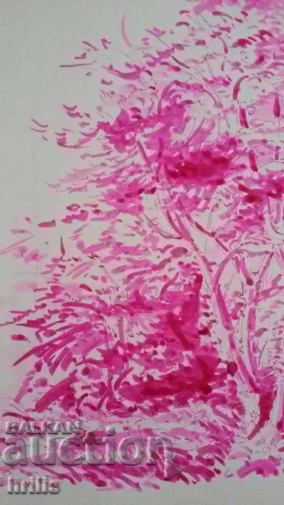 Delivery of COLOR GRAPHICS - VITOSHA, BG AUTHOR