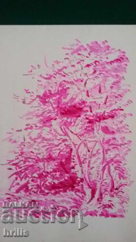 COLOR GRAPHICS - VITOSHA, BG AUTHOR - 5