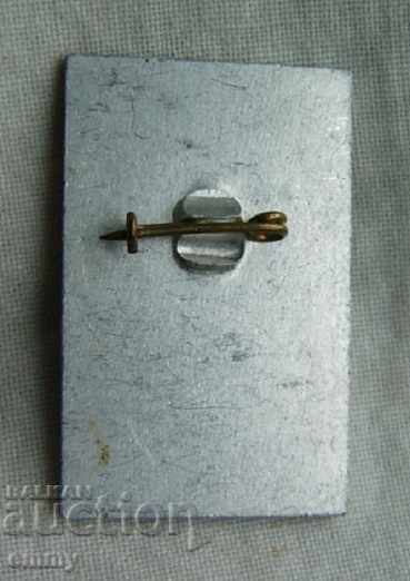 Delivery of Badge Constantine Cyril philosopher-program harmonious development Delivery of Badge Constantine Cyril philosopher-program harmonious development