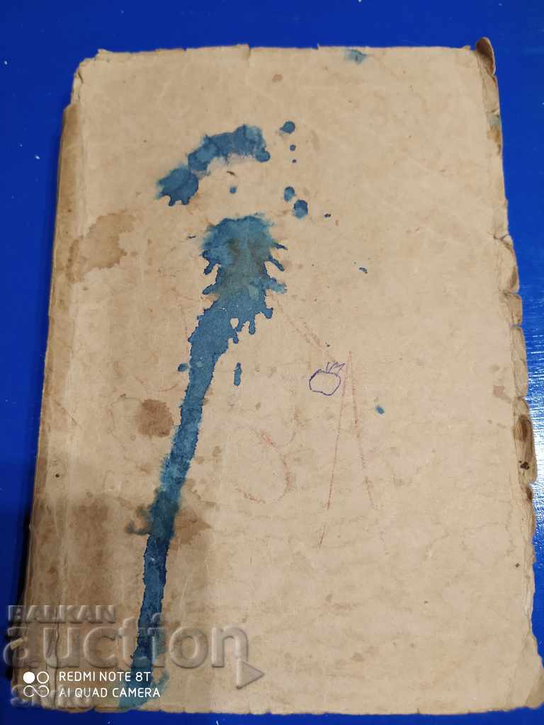 Eleanor Douze, the life and sufferings of the great actress - 5 Eleanor Douze, the life and sufferings of the great actress - 5