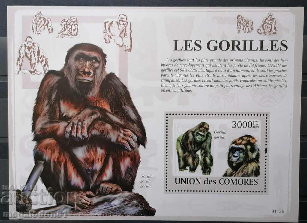 Barns - fauna, gorillas
