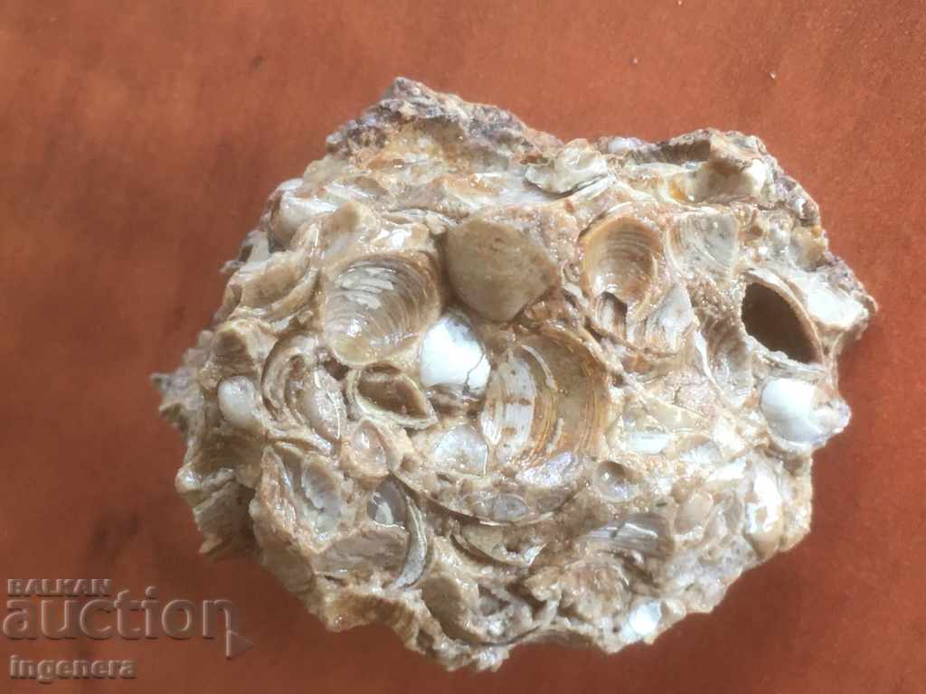 STONE MINERAL-2 PCS with price 6.00 BGN | € 3.07 STONE MINERAL-2 PCS with price 6.00 BGN | € 3.07