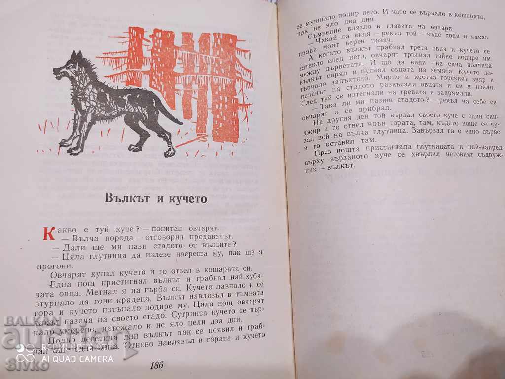 Guest winged Angel Karaliychev many illustrations - 6