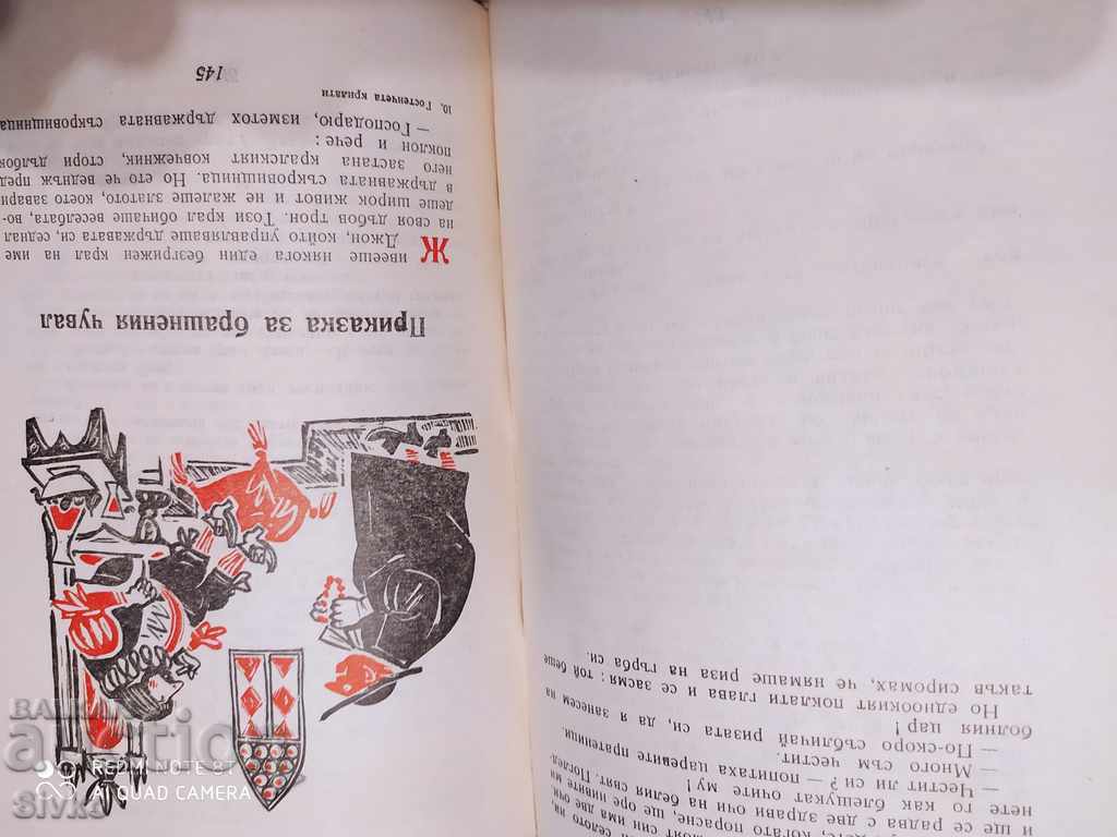 Guest winged Angel Karaliychev many illustrations - 7