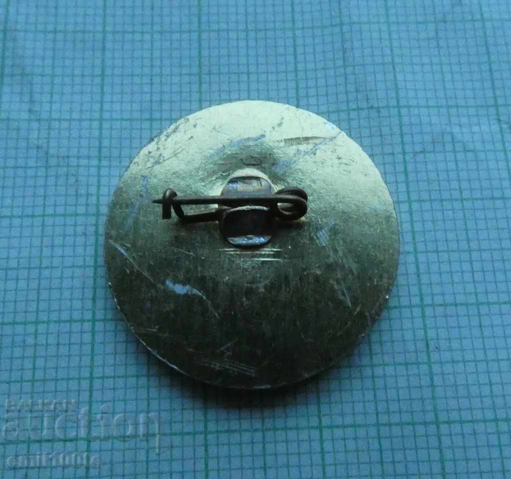 Badge - Solidarity Bulgaria - 5