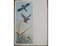 Hand-painted duck postcard