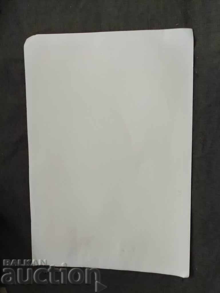 Licitație Rac I. Memorabil