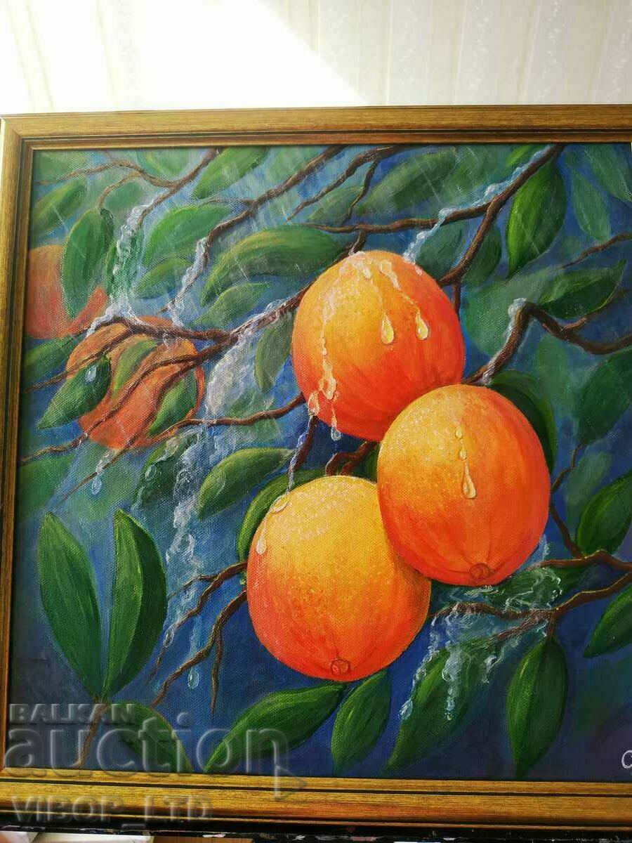 ORANGES oil painting canvas 46/46, artist, frame