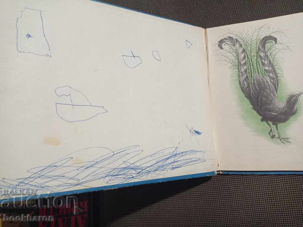 Θαύματα της φύσης με τιμή 4.00 BGN | € 2.05