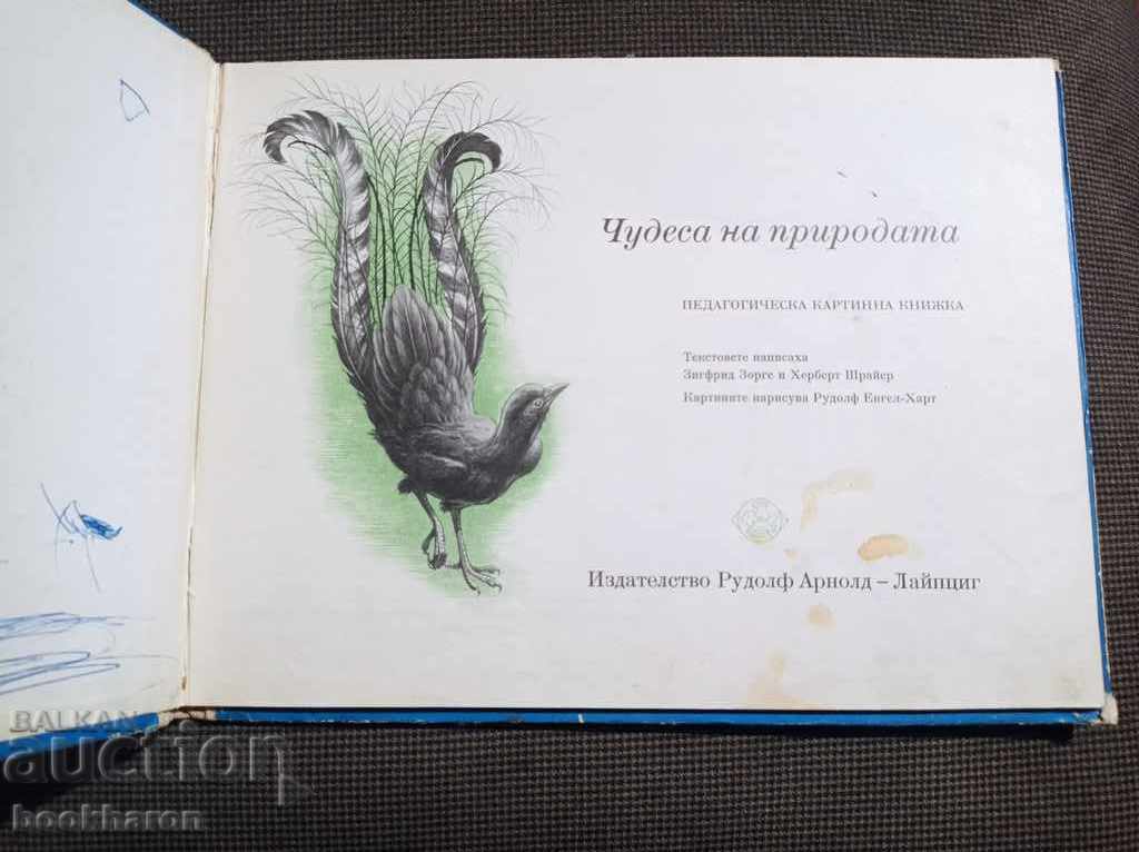 Δημοπρασία Θαύματα της φύσης