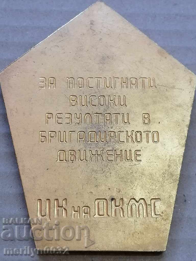 Awarded Dimitrovski plaque for high results DKMS with price 89.00 BGN | € 45.50