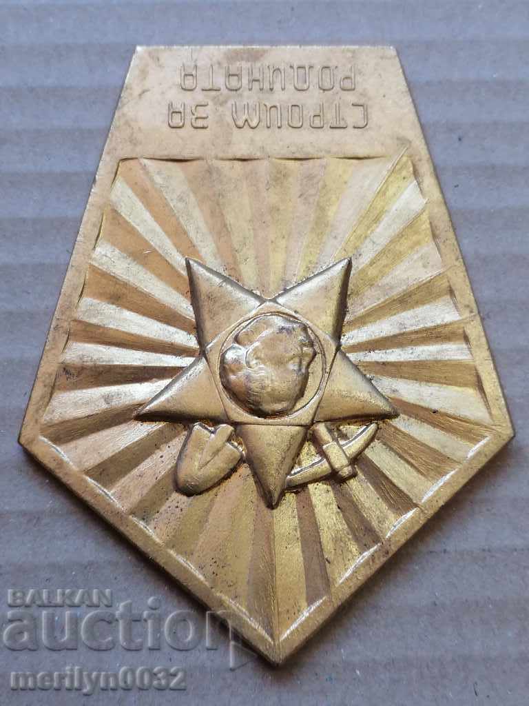 Awarded Dimitrovski plaque for high results DKMS - 7