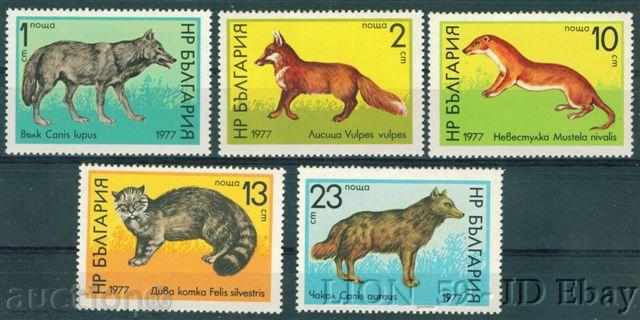 2659 България 1977 Хищни бозайници **