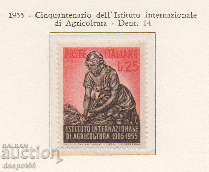 1955. Italia. Institutul Internațional al agriculturii.