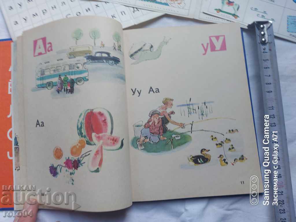 PRIMER - 5 PRIMER - 5