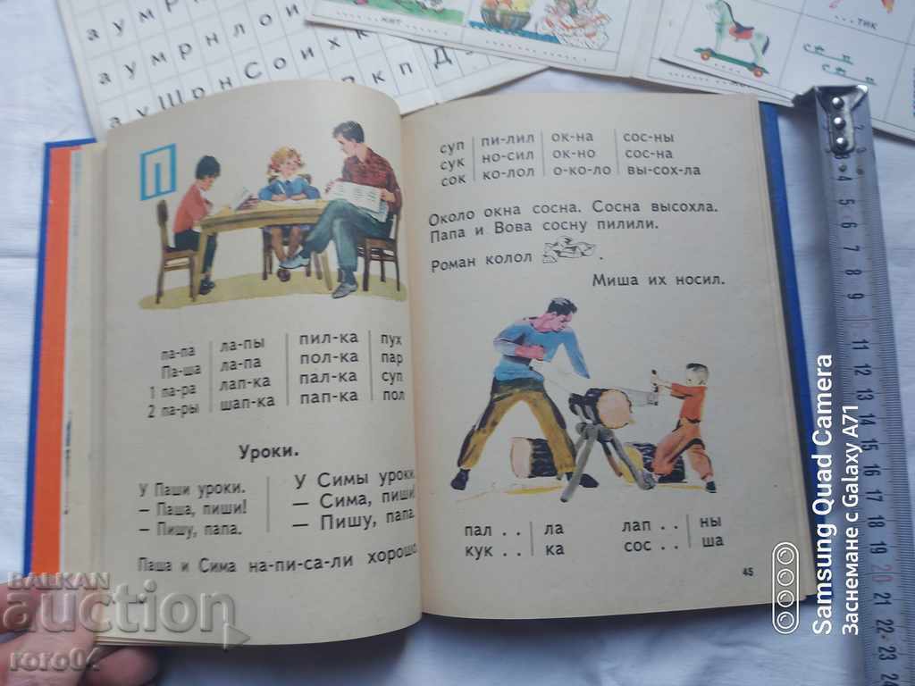 PRIMER - 6 PRIMER - 6