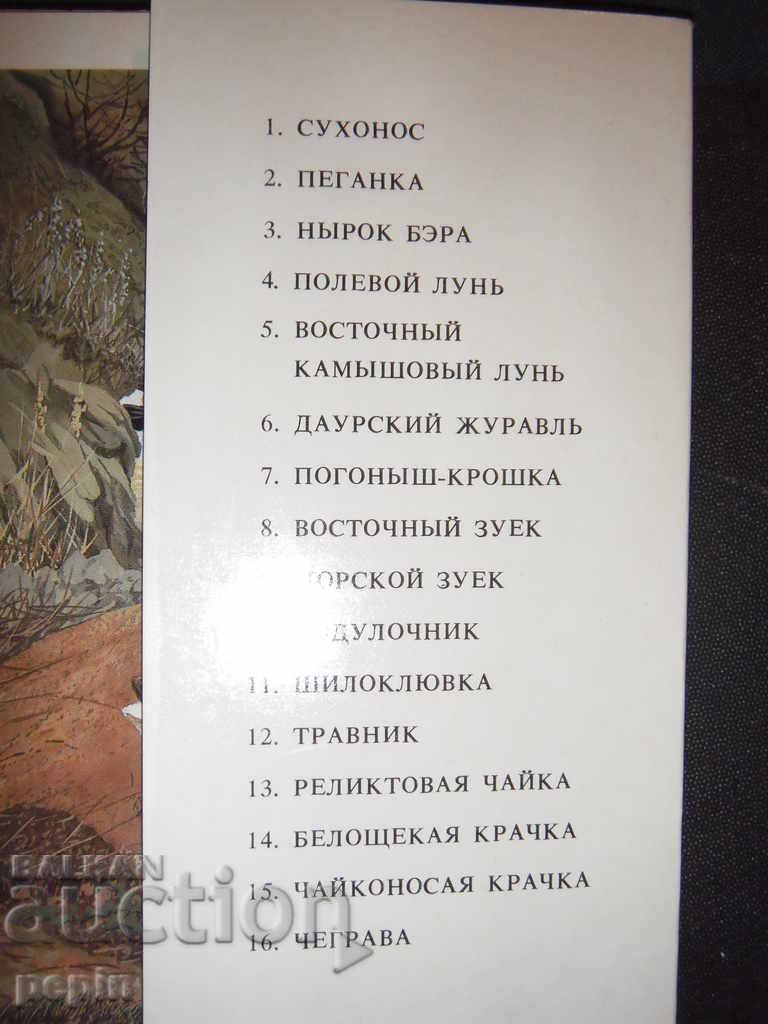Auction Cards birds of Russia Auction Cards birds of Russia