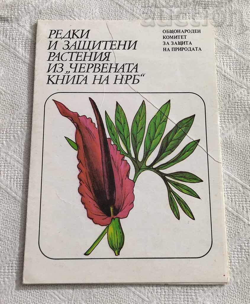 PROTECTED PLANTS FROM THE "RED BOOK OF THE NRB" BROCHURE
