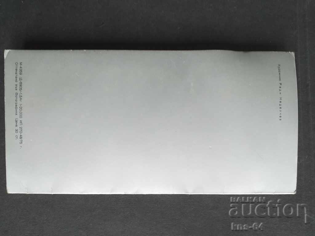 Auction New Year's Greeting CHNG - Social card Auction New Year's Greeting CHNG - Social card