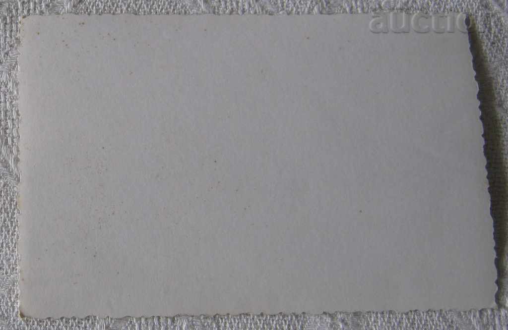 Auction GOLDEN SANDS CASINO STATUE FOUNTAIN PHOTO 196 .. Auction GOLDEN SANDS CASINO STATUE FOUNTAIN PHOTO 196 ..