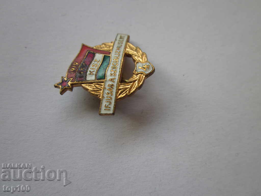 Auction ENAMELED Badge !!! Auction ENAMELED Badge !!!