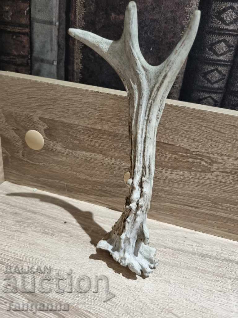 Decor de corn cu preț 18.00 BGN | € 9.20 Decor de corn cu preț 18.00 BGN | € 9.20