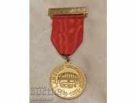 Μετάλλιο, ΠΑΡΑΓΓΕΛΙΑ LANGSET SKOLEKORPS 1974 ΝΟΡΒΗΓΙΑ