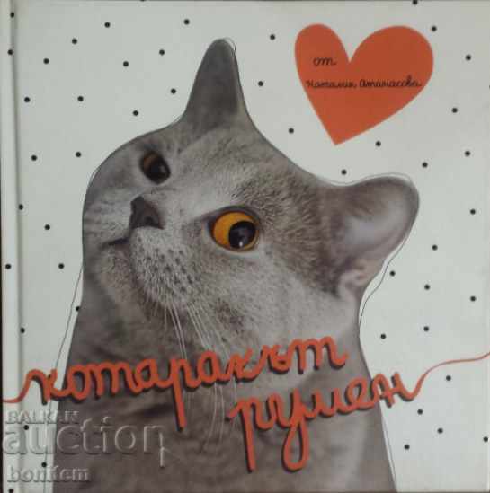 The cat Rumen - Natalia Atanasova