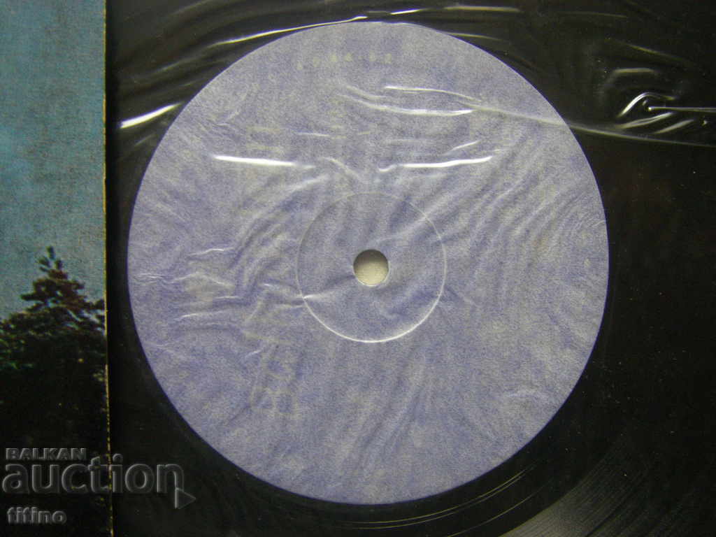 Licitație VHA 1123 - Cântece de gherilă Licitație VHA 1123 - Cântece de gherilă