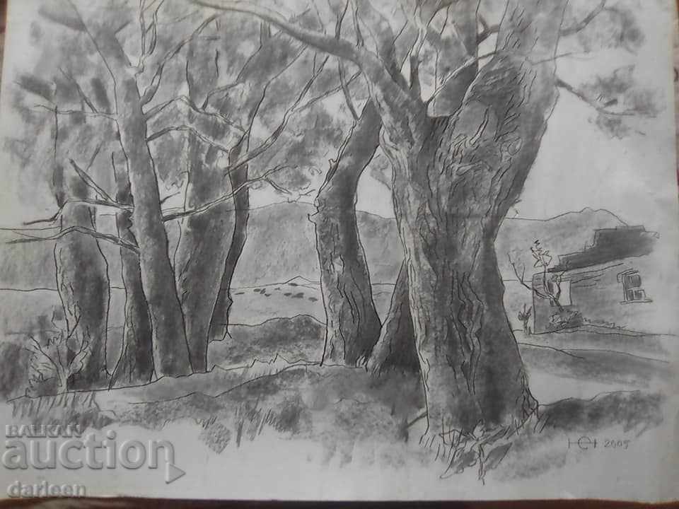 Auction Prof. Emil Nikolov, Trees Auction Prof. Emil Nikolov, Trees