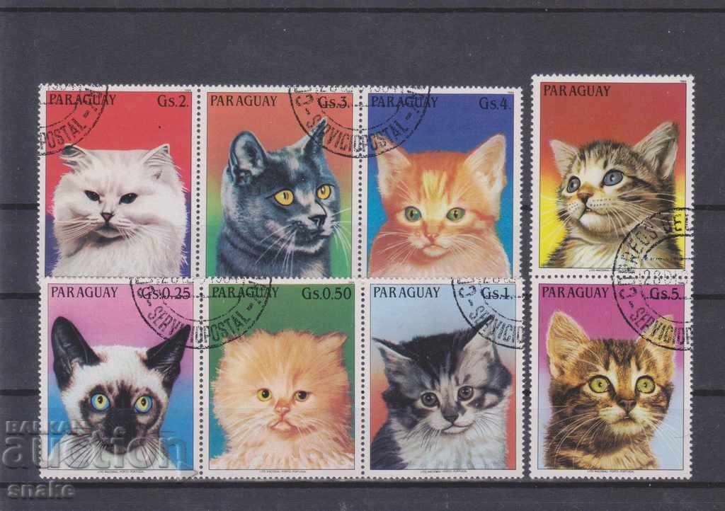 Парагвай 1984г. -  Домашни котки