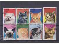 Paraguay 1984 - Domestic cats
