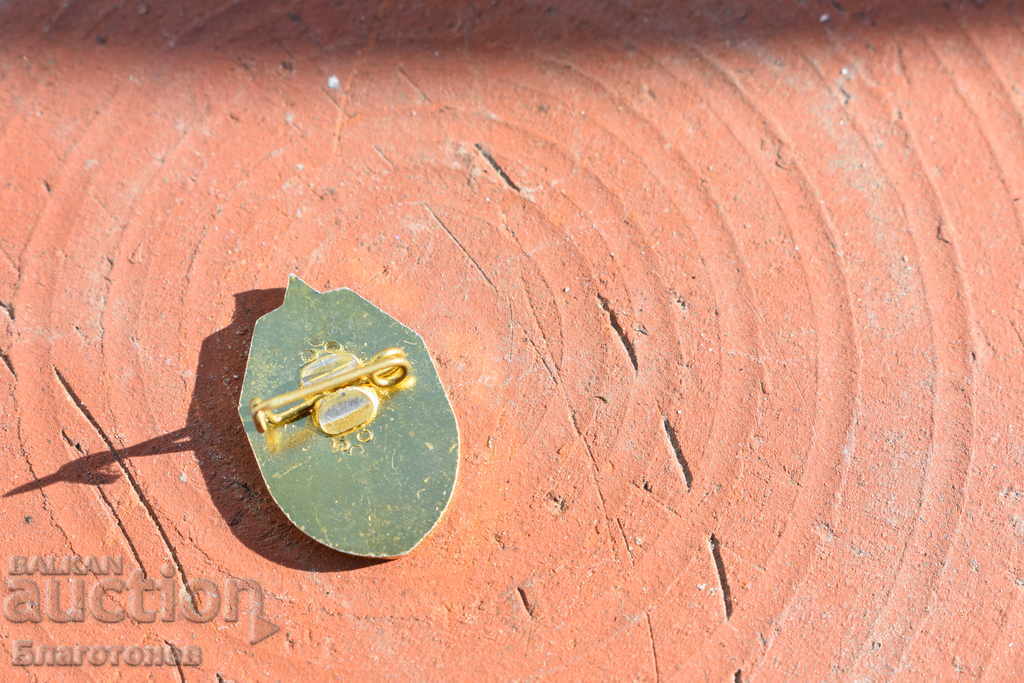 Badge, division 44180 Kazanka with price 20.00 BGN | € 10.23 Badge, division 44180 Kazanka with price 20.00 BGN | € 10.23