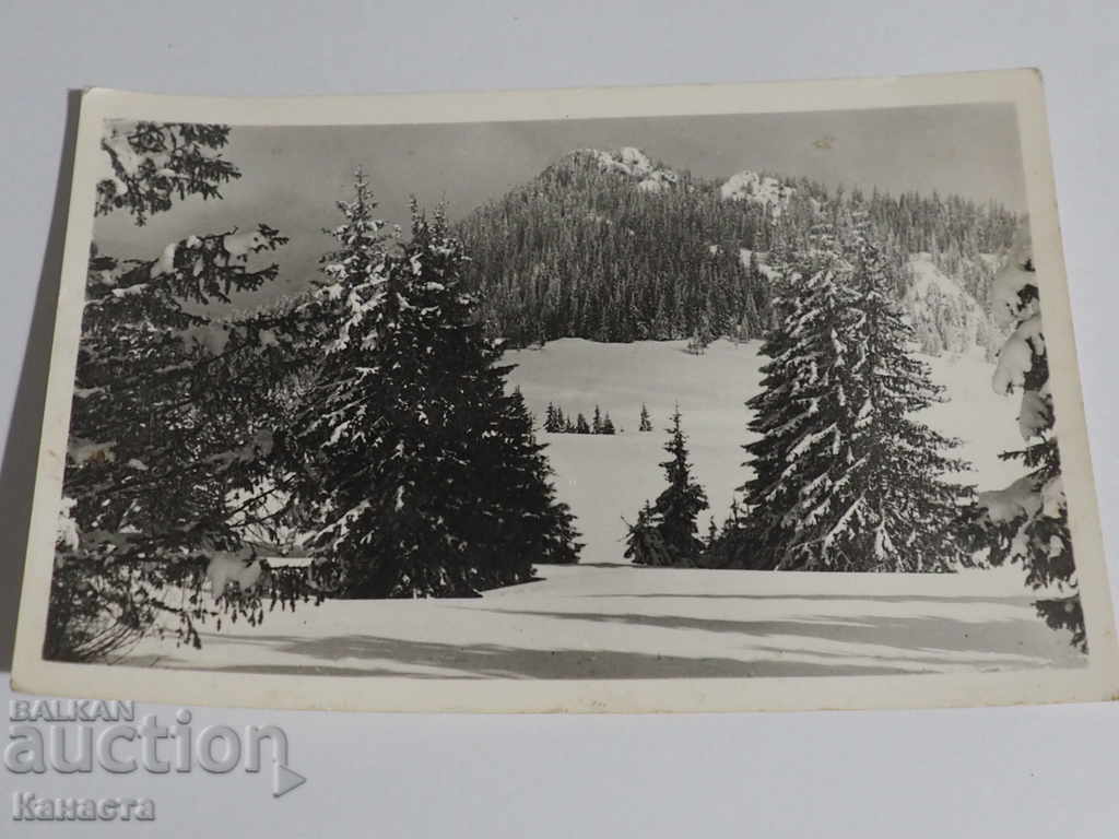 Зимна гледка в планината 1962  К 333