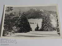 Winter view in the mountains 1962 K 333