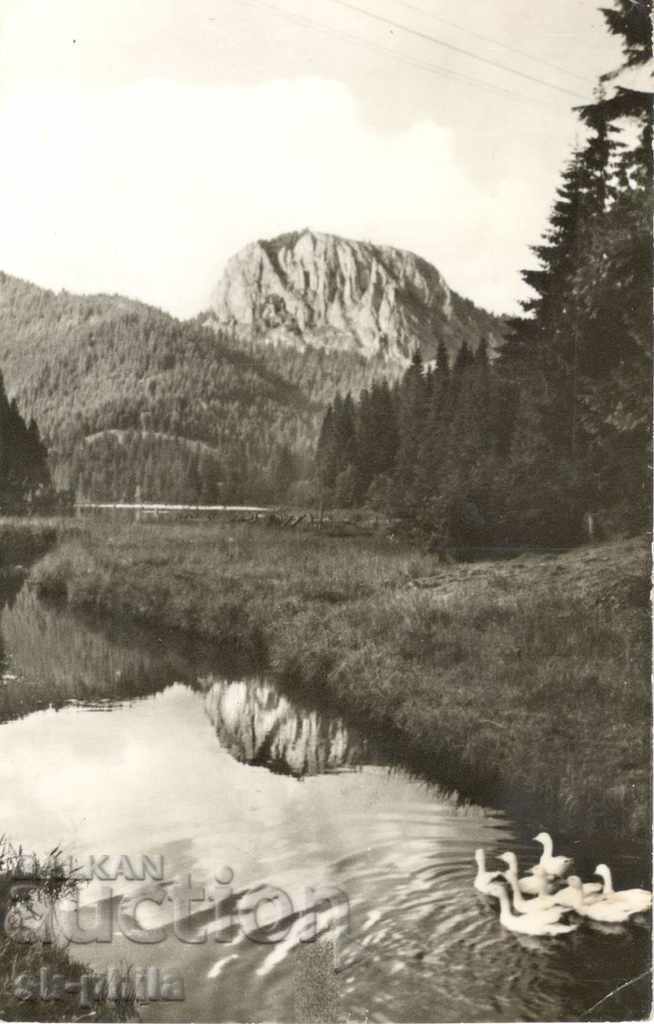 Postcard - Roche Lake