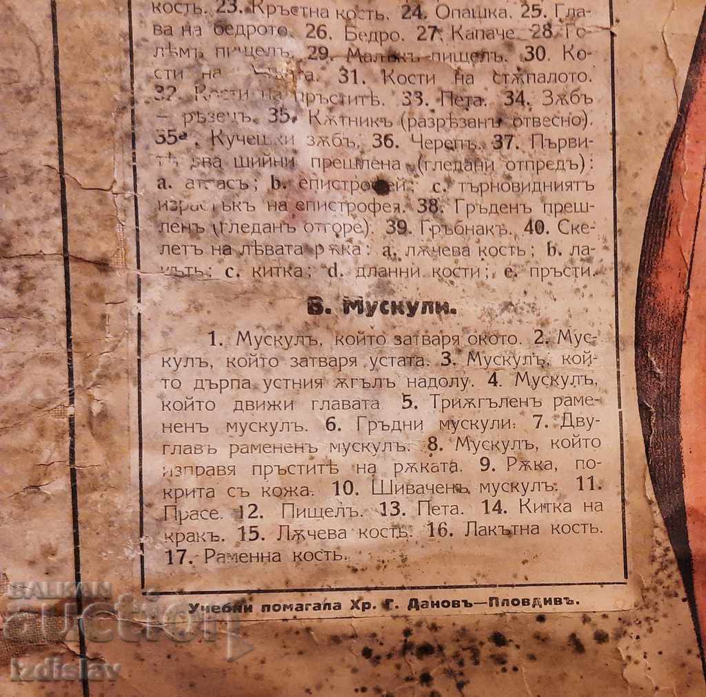 Παράδοση Παλαιά βοηθήματα σχολικών έργων ζωγραφικής στην Ανατομία, Χρήστο Γ. Ντάνοφ Παράδοση Παλαιά βοηθήματα σχολικών έργων ζωγραφικής στην Ανατομία, Χρήστο Γ. Ντάνοφ