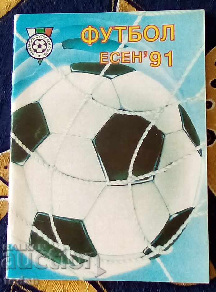 Book-Handbook-Football 91 autumn