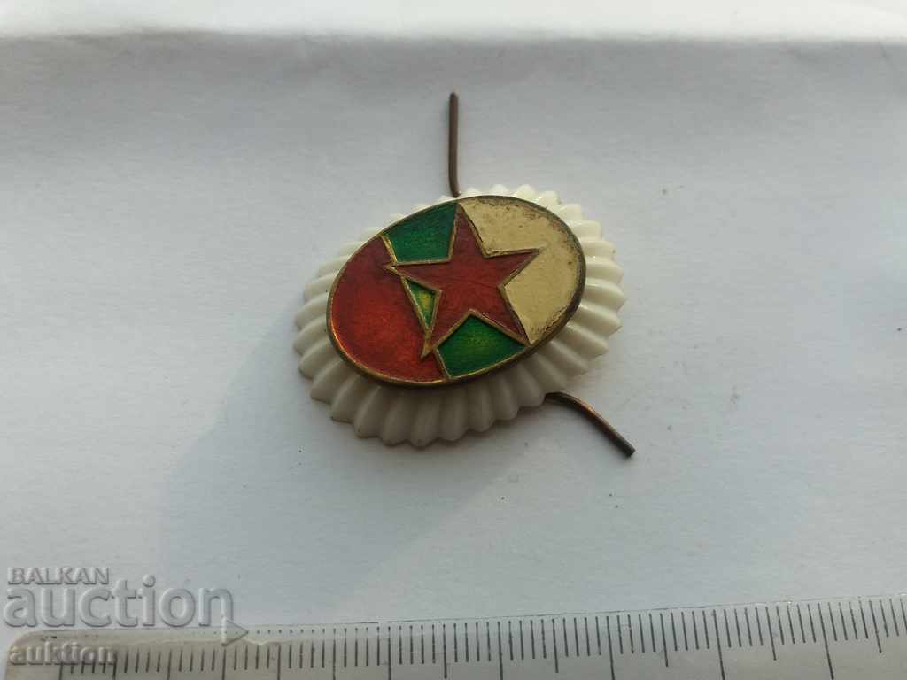 COCKARD - BA - BRONZE BADGE, ENAMEL, BRONZE - 5 COCKARD - BA - BRONZE BADGE, ENAMEL, BRONZE - 5