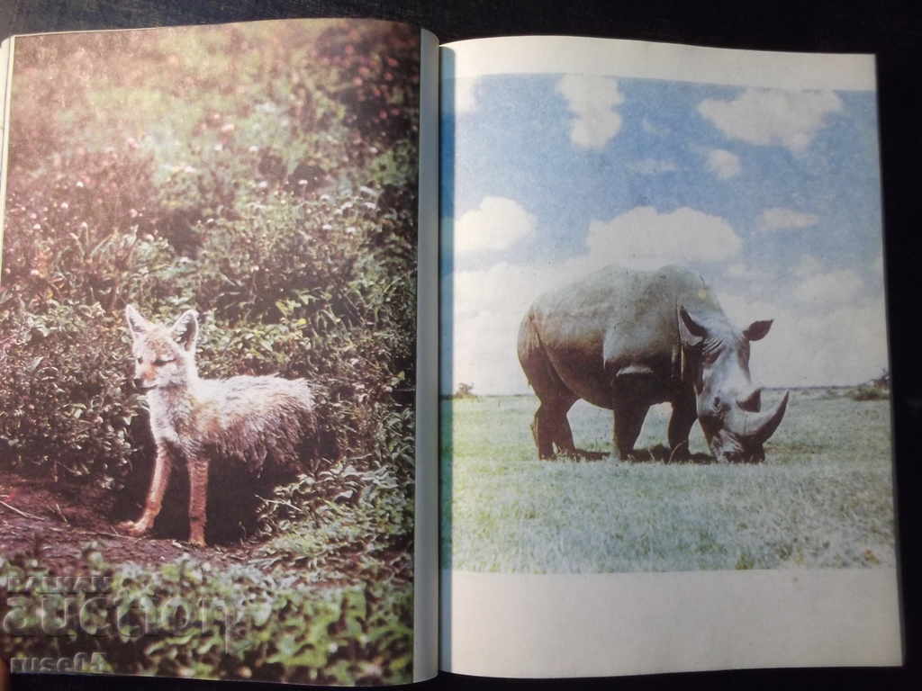 Delivery of Book "There is no place for wild animals - B. Gzhimek" - 214 p.