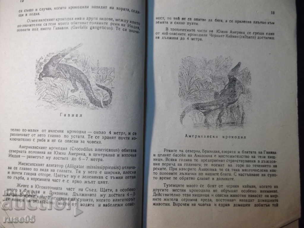 Книга "В царството на животните.Крокодил-9-Г.Дражев"-176стр. - 5 Книга "В царството на животните.Крокодил-9-Г.Дражев"-176стр. - 5