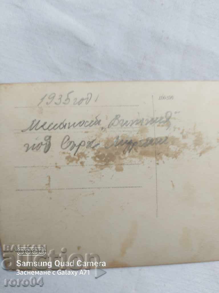 THE VITINYA AREA UNDER MURGASH PEAK - 5 THE VITINYA AREA UNDER MURGASH PEAK - 5