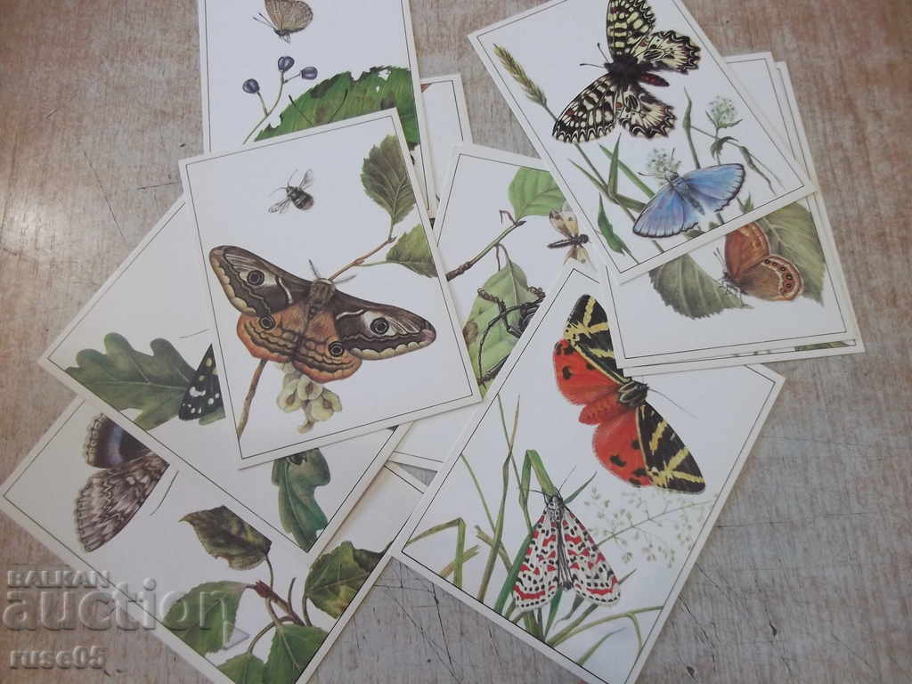 Lot of 16 pcs. insect cards from the red book of the USSR - 6 Lot of 16 pcs. insect cards from the red book of the USSR - 6