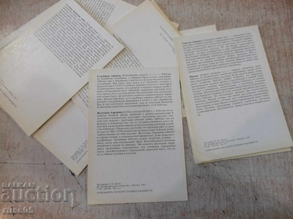 Lot of 16 pcs. insect cards from the red book of the USSR - 7 Lot of 16 pcs. insect cards from the red book of the USSR - 7