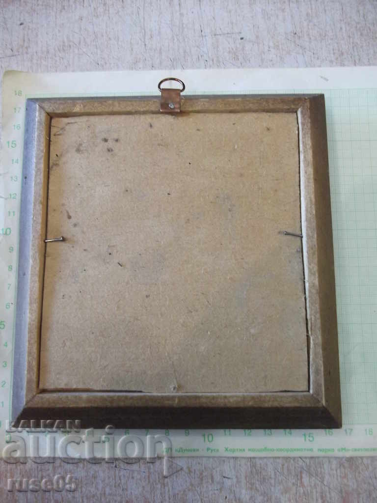 Shells in a wooden frame - 2 - 6 Shells in a wooden frame - 2 - 6