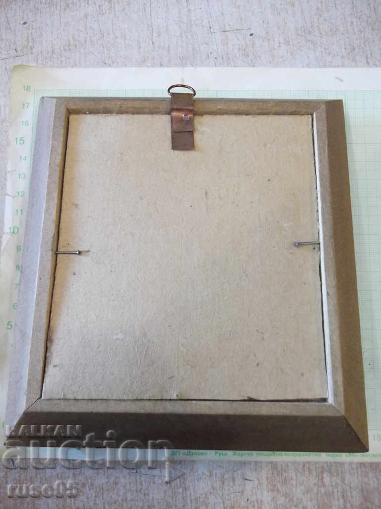 Shells in a wooden frame - 3 - 7 Shells in a wooden frame - 3 - 7