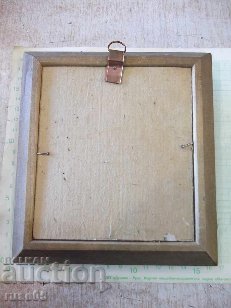 Shells in a wooden frame - 4 - 7 Shells in a wooden frame - 4 - 7