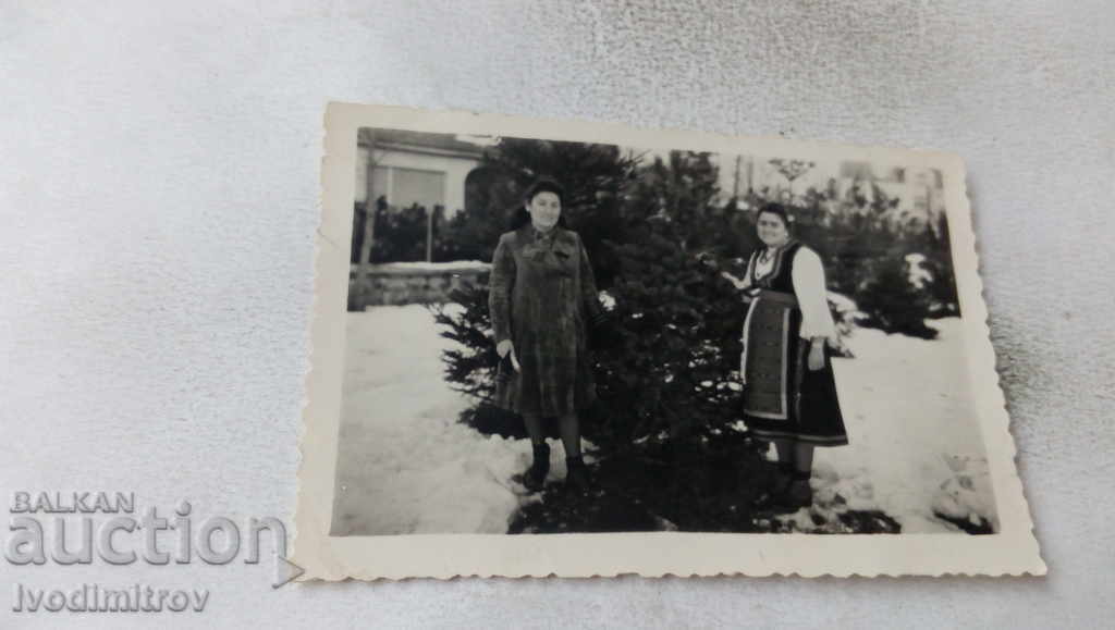 Photo Two women next to a pine tree in winter