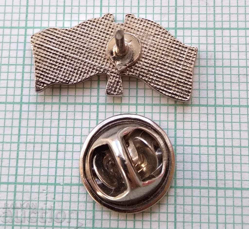 Auction  10773 Badge - Flags Canada USA - Email